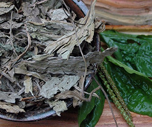 Preisvergleich Produktbild Naturix24 – Breitwegerichblätter ganz - 500g