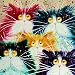 Produktbild Malen nach Anzahl Kit, Diy Ölgemälde Zeichnung abstrakte Cat Head Canvas mit Pinsel Dekor Dekorationen Geschenke - 16 x 20 Zoll Rahmenlos
