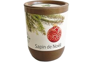 Feel Green Ecocan, Épicéa (Sapin de Noël), Idée Cadeau (100% Biodégradable), Grow-Your-Own/Kit Prêt-à-Pousser, Le Pot Écologique Qui Croît 9 x 7 cm, Produit en Autriche