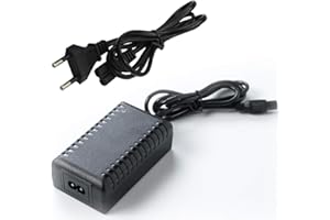 RYRA Lilon Adaptateur dalimentation 42v 2a pour Scooter Auto-équilibré, Chargeur sûr Compatible avec Adaptateur Secteur Universel Xiaomi/Hoverboard Batterie au Lithium Prise EU