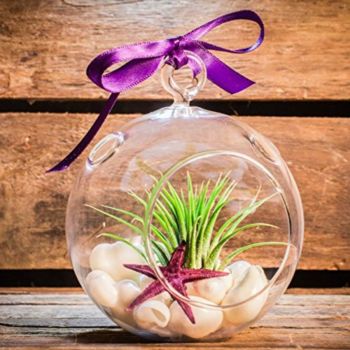 18-teilige Set Hängend Kristall Glas Kerzenständer Kreative Haus Hängende Glasball Romantische Kerzenständer Hochzeit / Geburtstag / Fest Deko - 9