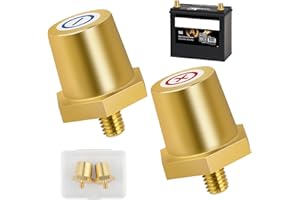 MAXMOC Messing Batteriepol Adapter Set, Gewinde-Anschlüsse, robust und korrosionsbeständig, Schnellmontage Batterieklemmen, Batteriepol-Adapter für Lithium-Autobatterien(1 Paar) (AG:M6)