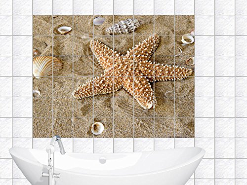 Fliesenaufkleber Fliesenbild Fliesensticker für Badezimmer Seestern Muscheln (Fliesenmaß:15x15cm(BxH)//Bildformat:75x50cm(BxH))