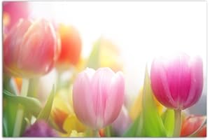 AUGENBLICKE WANDBILDER 120x80cm - Fotodruck auf Leinwand und Rahmen Tulpen Blumen Frühling farbenfroh - Leinwandbild auf Keilrahmen modern stilvoll - Bilder und Dekoration