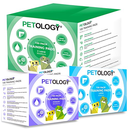 PETOLOGY® 100 Count, 60 cm x 60 cm Large Size Training Pads Puppy Dog Cat Super Absorbent