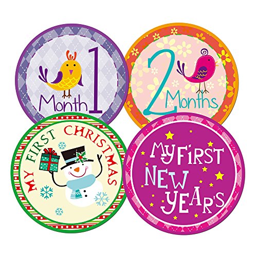 Blulu Baby Monthly Holiday Milestone Stickers Newborn Gift, 26 Pieces