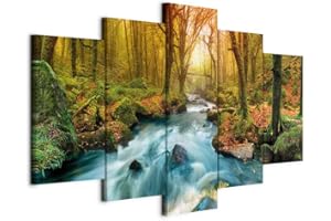 CUADROS B&D XXL B&D XXL - Quadro 200x100 cm 5 Pezzi - Stampa su Tela Canvas in TNT Tessuta - Quadri Componibili Moderni Soggiorno Grandi - Murale Arte Decorazioni da Parete Decori - paesaggio Natura acquafall Quadro