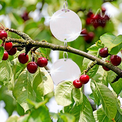 GARDIGO VOGELFREI REFLEKT 4ER - 2