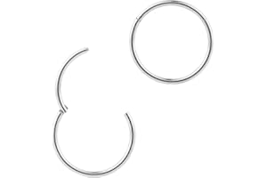 365 Sleepers G23 Titanio Unisex Septum Tragus Helix Segmento con bisagras Nariz Labio Anillo Pendientes de aro Joyería piercing del cuerpo 20G 18G 16G 14G 12G 10G 8G