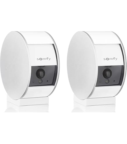 somfy 2401563 - Outdoor Camera - Caméra de Surveillance Extérieure WiFi - 1080p Full HD - Sirène 110 DB - Branchement Possible sur luminaire existant