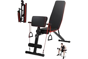 JINPALAY Banco de Pesas Musculación 2 en 1, con Banco Scott de Cambio Rápido, Respaldo con 6 Posiciones, Carga 250 kg, 2 Bandas y Asas – Ideal para Gimnasio en Casa