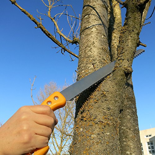 GRÜNTEK Gartensäge Handsäge BARRAKUDA 300 mm, Baumsäge mit gehärteten Zähnen und Kunststoffhalfter. EINFÜHRUNGSPREIS mit Zufriedenheitsgarantie ! - 9