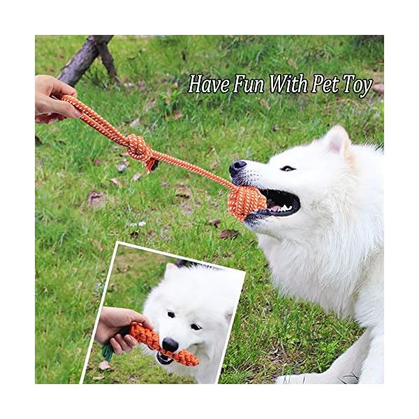 Dog Rope Toys Puppies Dogs Cotton Rope Toy Set Durable Chew Toys for
