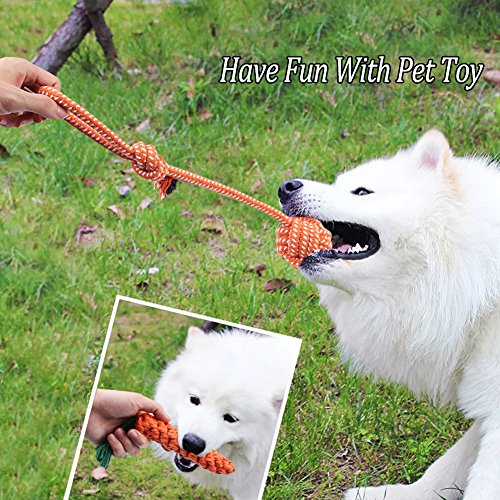 Dog Rope Toys Puppies Dogs Cotton Rope Toy Set Durable Chew Toys for