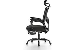 naspaluro Office Chair Desk Chair, Ergonomic Office Chair with Footrest, 2D Headrest and Adjustable Lumbar Support & Soft Armrest, Computer Chair for Home Office, Mesh Swivel Chair-Black