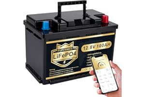 PUPVWMHB LiFePO4 12V 100AH Autobatterie Bluetooth 100A BMS über 5000 Mal Tiefzyklus Lithium Akku 1280W Abschaltschutz bei Niedriger Temperatur für Wohnmobil, Camping, Boot, Solare Heimanlagen