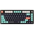 LEOBOG K81 Wireless Mechanical Keyboard, Tri-Mode, 75% Keyboard, Hot Swappable, Gasket-Mounted with Knob with Dynamic RGB Lighting Ice Soul Switch K81 Star Trek