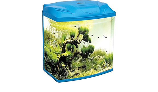 five star imported fish tank