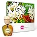 Feelgood Car Perfume Air Freshener - Fresh Floral Romantic Jasmine Fragrance - Liquid Bottle Diffuser 10 Ml RS.457.00