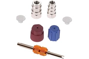 YOUNG WOLF Kit di adattatori di conversione retrofit per aria condizionata auto A/C da R-12 a R-134a, alta e bassa pressione, kit di tappi di montaggio, sistema di climatizzazione AC
