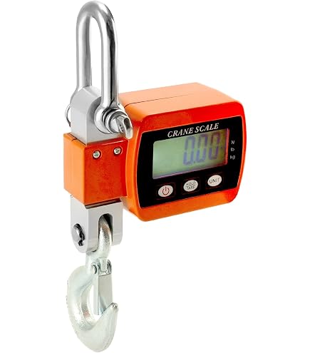 Balance Suspendue Numérique 300 Kg - Précision 0,1 Kg - Écran LCD, Fonction Tare - Pour Ferme, Pêche, Chasse, Garage
