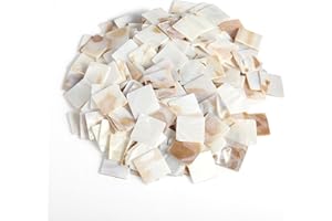 BIMUYI 350Pcs Mother of Pearl Mosaic Tiles, Shell Mosaic Pieces, Square Decorative Mosaic Supplies