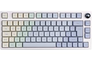 EPOMAKER TH80 Pro Teclado Mecánico Inalámbrico/Bluetooth/USB-C, con Iluminación RGB, Hot Swap, Teclas Multimedia, y Compatible con PC/Mac/PS4/PS5/Xbox (Monet TH80 ISO, Epomaker Budgerigar Switch)