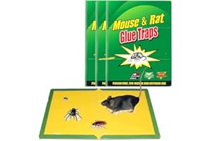 NOBILE LOVELYCARE trappola adesiva per topi 3 trappole per topi grandi e piccoli adesivo super potente no elettrico topicida per uso interno ed esterno