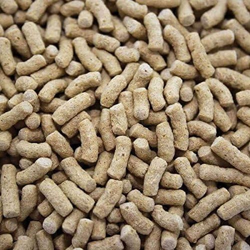 Pond Sticks Floating Fish Food High Protein Goldfish Koi Ponds 4kg Bucket