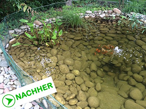 ALGENKILLER Protect® 75 g für 5.000 Liter • Wasserpflege für Gartenteiche und Schwimmteiche - 3