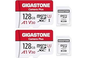 GIGASTONE Micro SD 128 GB, Camera Plus, Set da 2, A1 U1 C10 UHS-1, Per GoPro Fotocamera Videocamera, Velocità Fino a 100/60 MB/Sec(R/W), con Adattatore Scheda SD