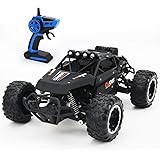 lbla rc car