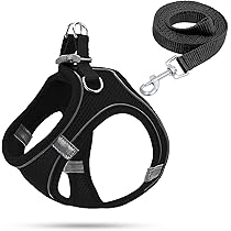 Curli Hundegeschirr Für Kleine Hunde & Welpen - Reflektierend Mit Leine In Rosa XXS