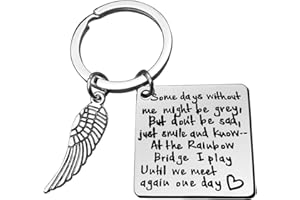 BAIPILU Sympathy Gift Keyring Memorial Gift for Best Friend Sister Remembrance Gift for Coworker Boss Bereavement Gift for Boys Girls in Memory of Loss of Dog Cat Condolence Gift for Loss of Loved One