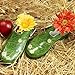 Produktbild GARTEN-CLOGS 36 DAISY WIESE TP65-36