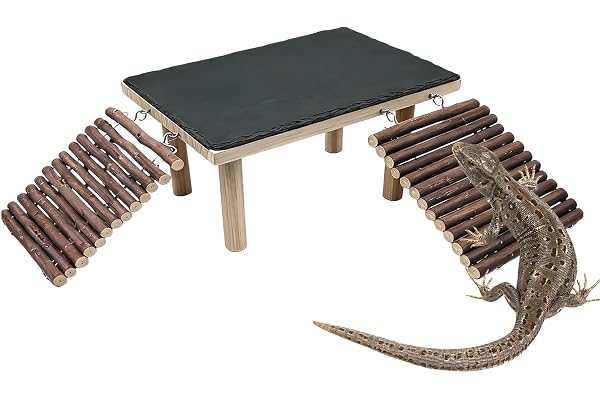 Ödla garvningsplattform dekorativ träramp, från | Skäggig drake ödla skiffersten för gecko leopard ödla kameleont orm, restaurang på