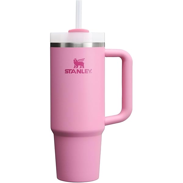 Buy Stanley Quencher H2.0 Tumbler with Straw 20 oz | Flowstate 3