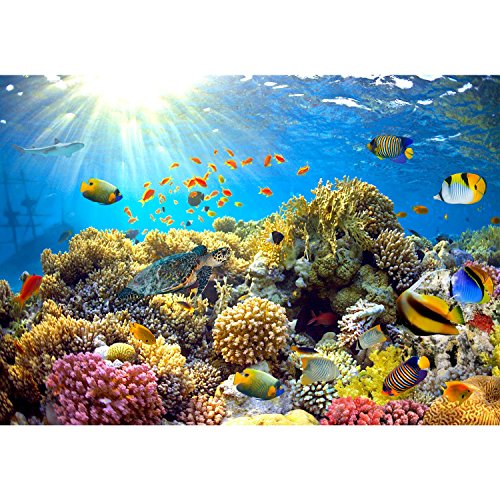 Fototapete Korallenriff 308 x 220 cm – Vliestapete – Wandtapete – Vlies Phototapete – Wand – Wandbilder XXL – !!! 100% MADE IN GERMANY !!! Runa Tapete 9073010a - 6