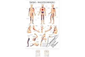 ‎SPORT-TEC Sport-Tec Taping Basic Techniques I Mini Poster Anatomy 34 x 24 cm Medical Teaching Aid