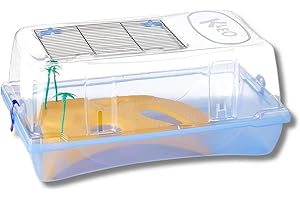 Pet's Market Kleo Tartarughiera Chiusa con Coperchio Rimovibile Acquario per Tartarughe d'acqua Adulte e Piccole Doppia Chiusura di Sicurezza Apertura Superiore con Isola Palme 58x31x31cm