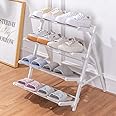 ECVV Collapsible Shoe Rack with Raised Base Design, Moisture-Proof Shoe Organizer for Closet and Entryway, Space-Saving 4 Tier Shoe Shelf for 16 Pairs