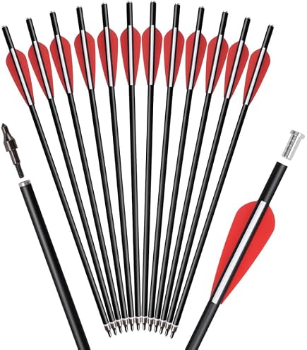 Pack De 20 Pointes De Flèche De Chasse En Aluminium – Argent, Encoches Incluses