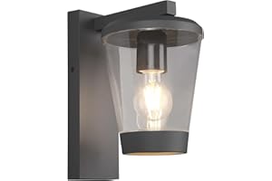 Trio Leuchten Zewnętrzna lampa ścienna Cavado 211060142, odlew ciśnieniowy aluminium, antracyt, tworzywo sztuczne przezroczyste, ekskluzywna żarówka 1 x E27