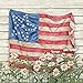 Produktbild Legacy Publishing Group CST14778 Every Day Coasters Untersetzer Daisies With Flag