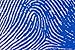 Produktbild 520041 Blue Fingerprint Magnified A4 Photo Poster Print 10x8