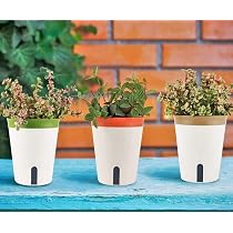 Produktbild von Bio Green Fensterbank-Kräuterbeet Provence - 4 Töpfe Mit Bewässerungssystem