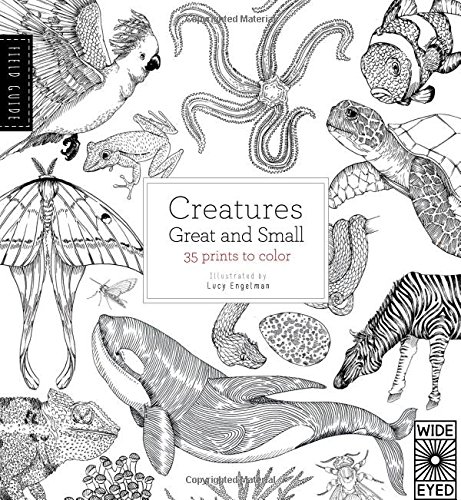 Download Field Guide: Creatures Great and Small: 35 Prints to Color