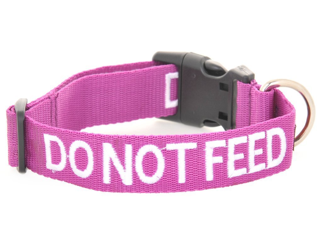 DO NOT FEED (Dog is on a Diet/Has Food Allergies) Purple Colour Coded S-M L-XL Dog Collars PREVENTS Accidents By Warning Others Of Your Dog In Advance (S-M)