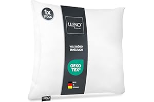 LILENO HOME Coussin en microfibre 40 x 40 cm, lavable jusqu'à 95 degrés, fermeture éclair, coussin rembourré pour lit ou comme décoration - Canapé et coussin décoratif