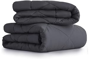 CozyLux Piumone 220 x 240 cm, 4 stagioni, 2 pezzi, con trapunta da 240 x 220 cm, 300 g/m², coperta estiva 220 x 240 cm, 150 g/mq, 2 trapunte abbottonate per quattro stagioni, estate/inverno